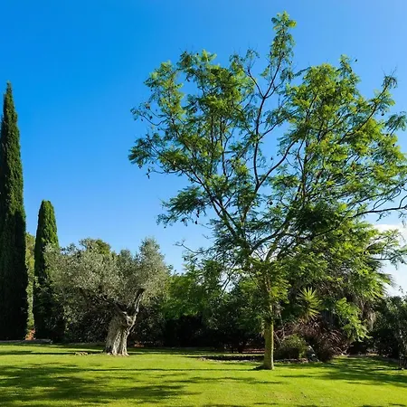 Prada Sleeps 16 - 3 Annexes - Huge Landscaped Grounds With Hammock, Yoga Area And Space * Santa Eulària des Riu