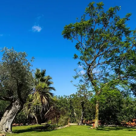 Prada Sleeps 16 - 3 Annexes - Huge Landscaped Grounds With Hammock, Yoga Area And Space