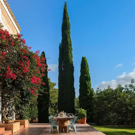 Prada Sleeps 16 - 3 Annexes - Huge Landscaped Grounds With Hammock, Yoga Area And Space *
